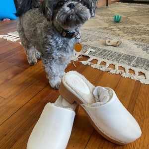 Charlotte Stone Martino Puff Clog in Latte